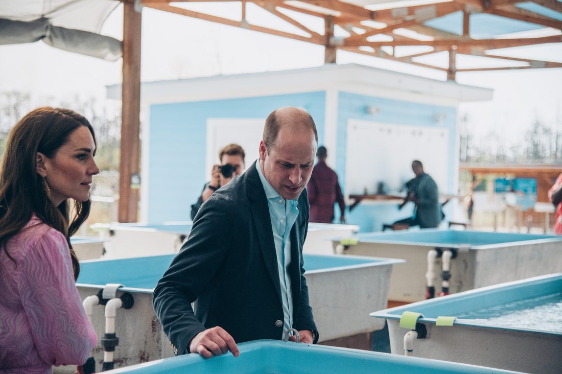 The Prince and Princess of Wales touring Coral Vita’s coral farm
