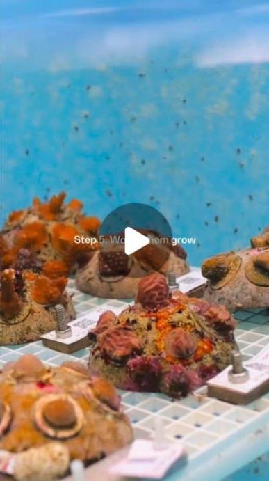 Coral Vita Instagram reel, 1M views